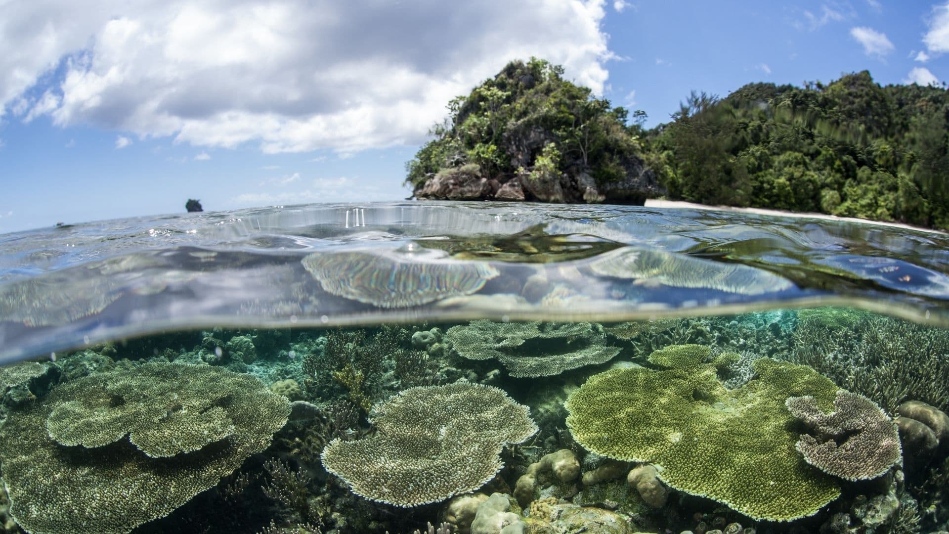 Koh Rok and Koh Haa — early bird snorkeling by speedboat