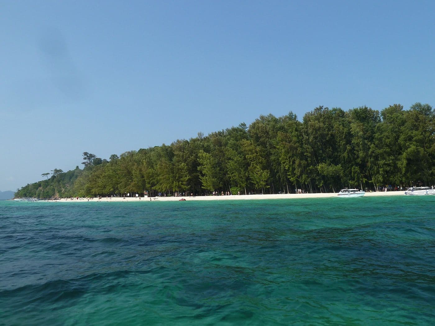 Bamboo Island